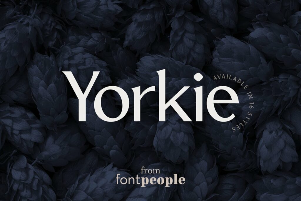 Yorkie-Sans-Font-Family-1.jpg