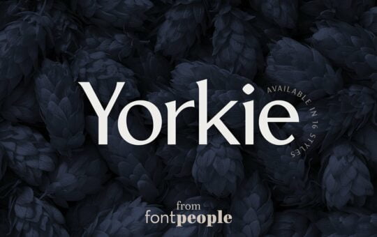 Yorkie-Sans-Font-Family-1.jpg