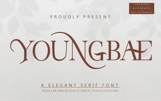 Youngbae-Elegant-Serif-Font-1.jpg