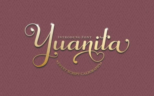 Yuanita-Calligraphy-Font-1.jpg