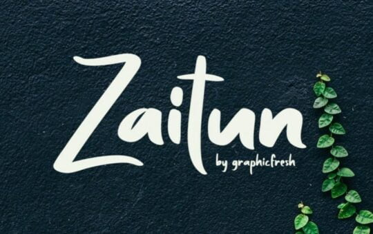 Zaitun-Nature-Branding-Font-1.jpg