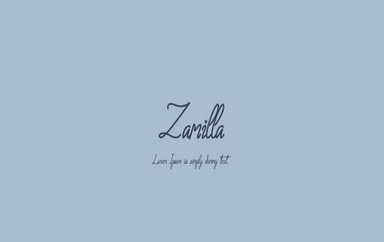 Zamilla-Monoline-Script-Font-4.jpg