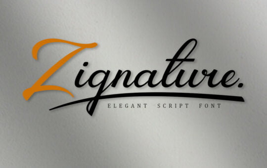 Zignature-Script-Font-1.jpg