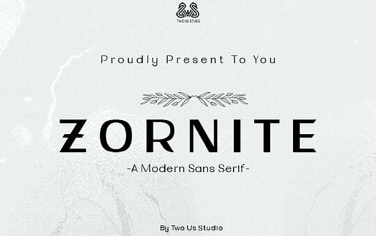 Zornite-Sans-Serif-Font-1.jpg