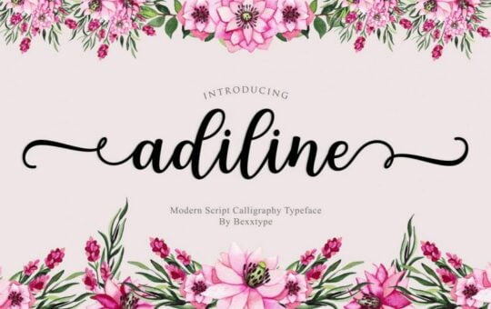 adiline-calligraphy-font-1.jpg