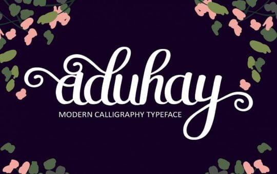 aduhay-script-font.jpg