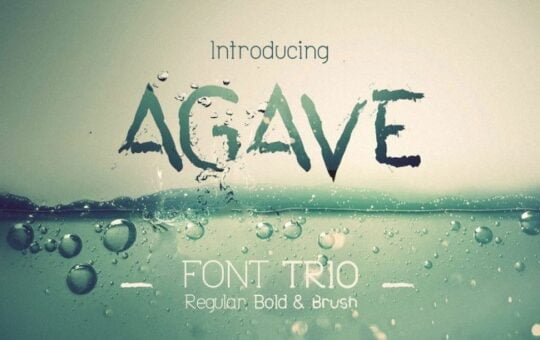 agave-font-1.jpg