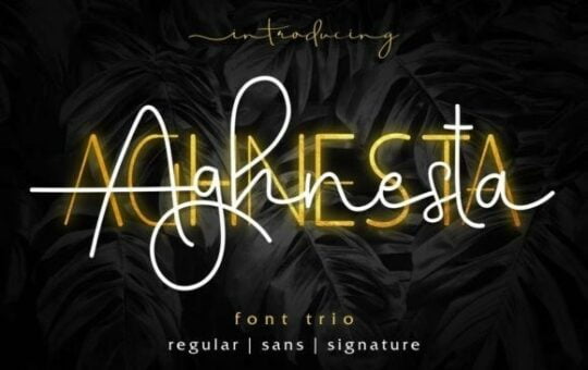 aghnesta-font.jpg