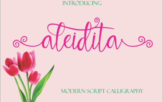 aleidita-script-font.png