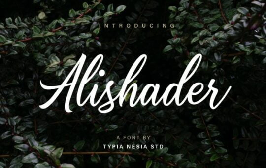 alishader-script-font.jpg