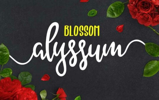 alyssum-blossom-script-font.jpg