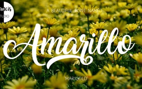 amarillo-font.jpg