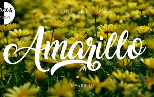 amarillo-font.png