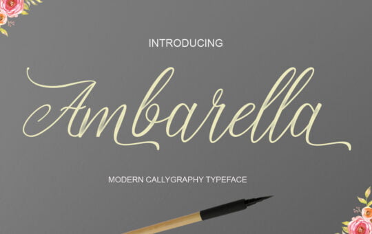 ambarella-font.jpg