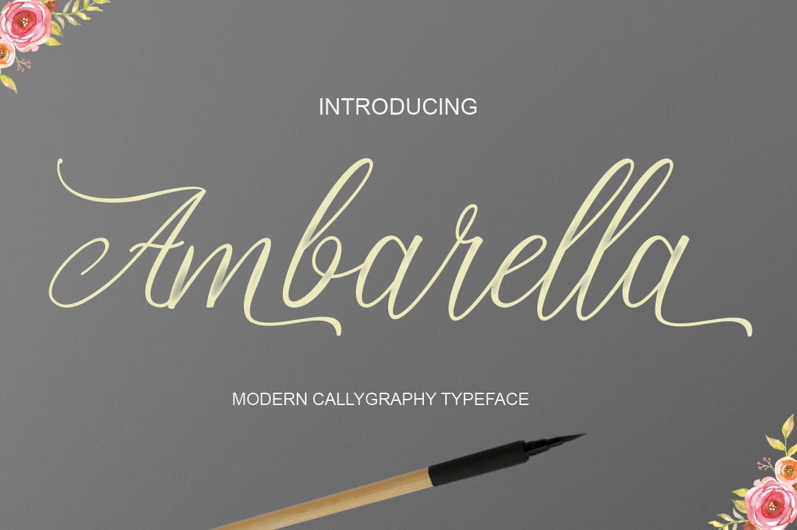 ambarella-font.jpg