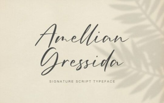 amellian-gressida-font-1.jpg