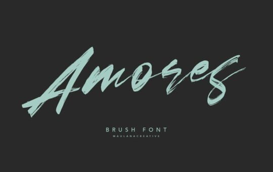 amores-brush-signature-handmade-font-1-.jpg