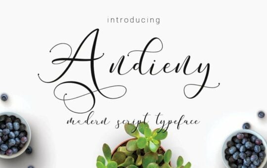 andieny-script-font-768x512-1.jpg
