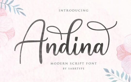 andina-script-font.jpg