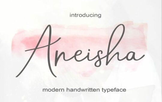aneisha-script-font-5-768x512-1.jpg