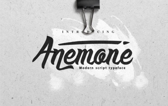 anemone-script-font1.jpg