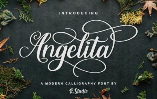 angelita-script-font.jpg