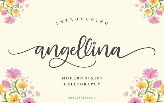angellina-script-font.jpg