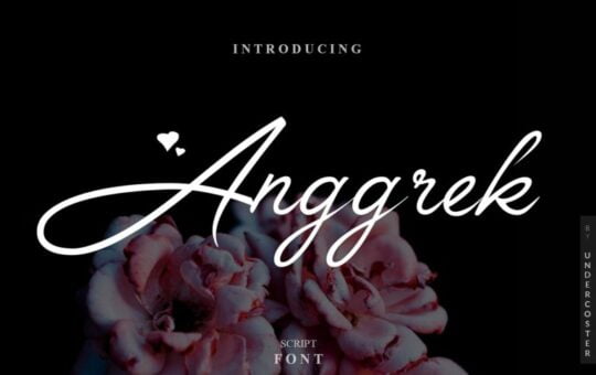 anggrek-script-font-768x512-1.jpg