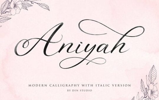 aniyah-script-font.jpg