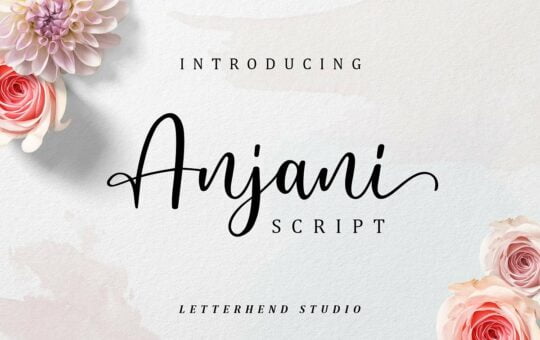 anjani-script-font.jpg