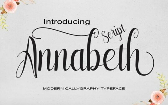 annabeth-script-font-768x512-1.jpg
