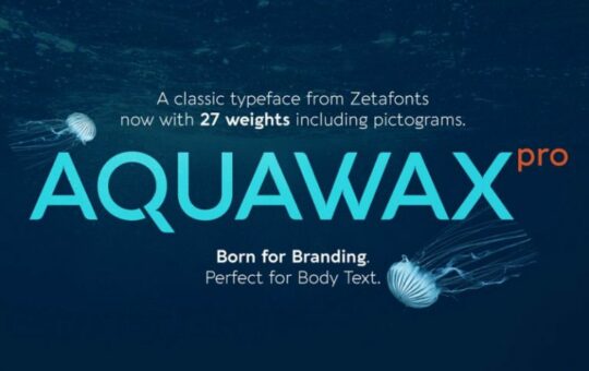 aquawax-pro-font-family-768x512-1.jpg