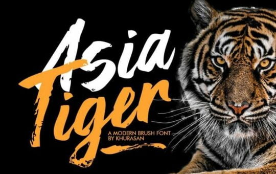 asia-tiger-brush-font.jpg