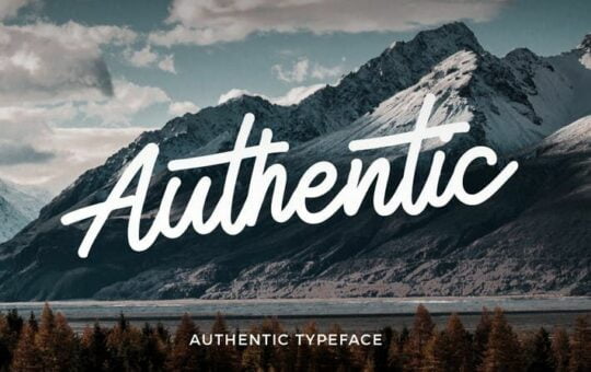 authentic-monoline-script-font.jpg