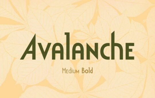 avalanche-font-1.jpg