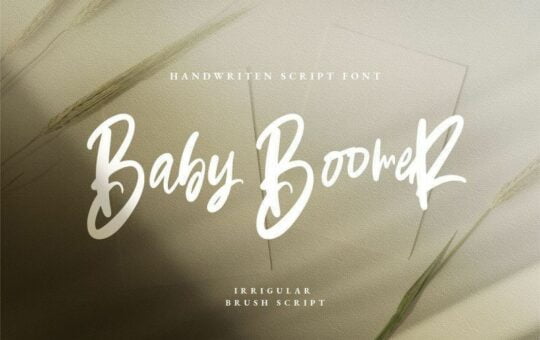 baby-boomer-bold-script-font.jpg