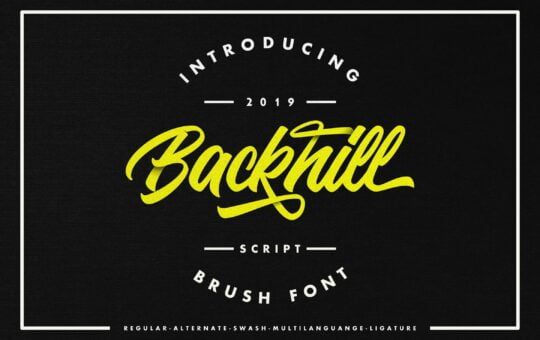 backhill-script-font.jpg