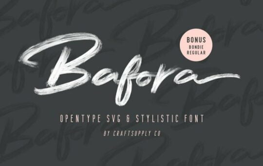 bafora-brush-font-768x512-1.jpg
