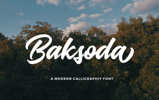 baksoda-script-font.jpg