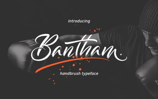 bantham-handbrush-font.jpg