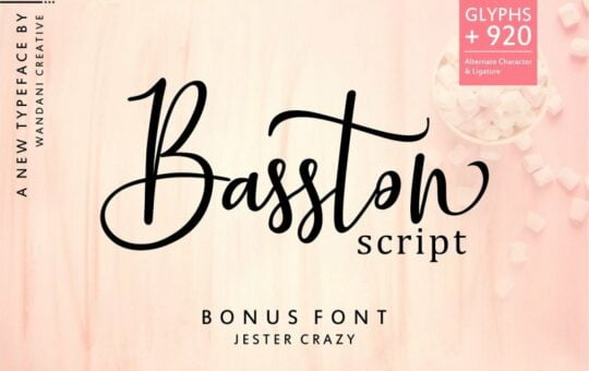 basston-script-font-duo.jpg