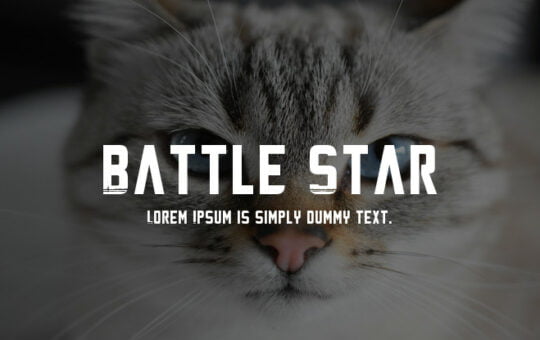 battle-star-741x415-8e6d510817.jpg