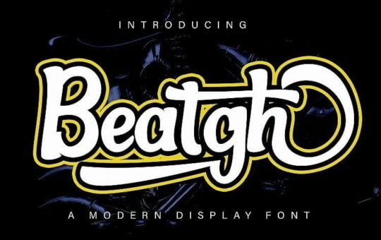 beatgh-bold-script-font.jpg