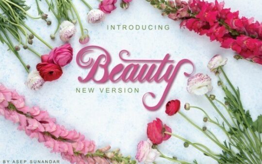 beauty-font-1.jpg