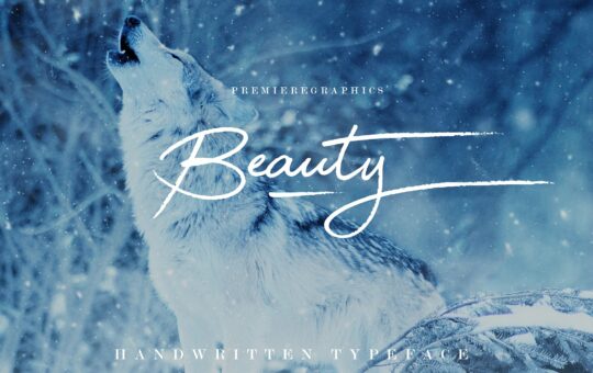 beauty-script-font.jpg