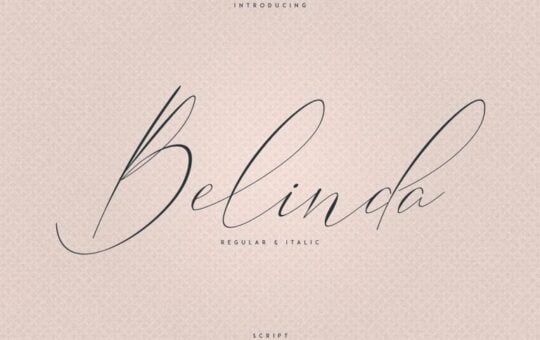 belinda-script-font-768x512-1.jpg