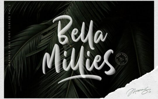 bella-millies-script-font.jpg