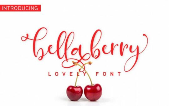 bellaberry-script-font-1.jpg