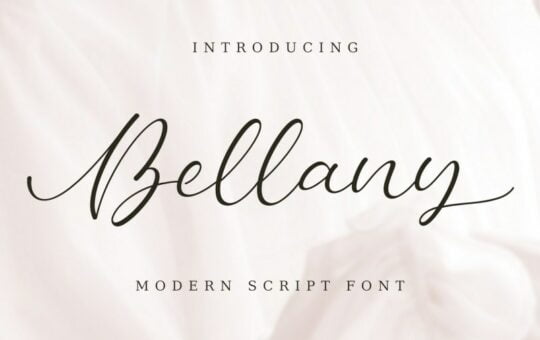 bellany-modern-script-font.jpg