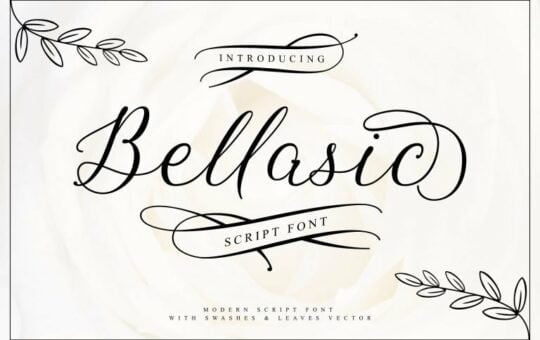 bellasic-script-font-768x512-1.jpg